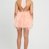 Peach High Neck Feather Dress