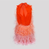Pink Ombre High Neck Feather Dress